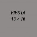 FIESTA VI SERIE 2013-2016