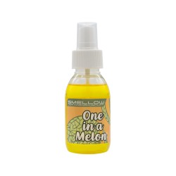 PROFUMO PER AUTO MELONE 100ML