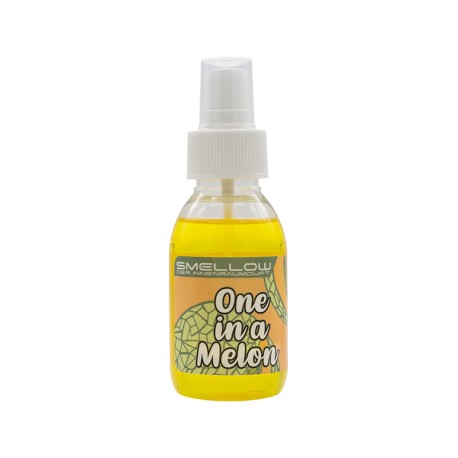 PROFUMO PER AUTO MELONE 100ML