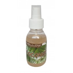 PROFUMO PER AUTO COCCO 100ML