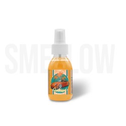 PROFUMO PER AUTO SUNKISSED 100ML